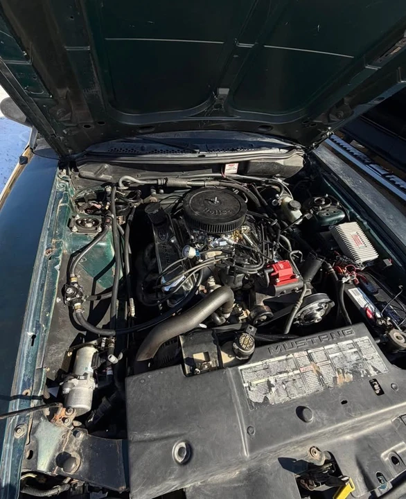 1995 Ford SN95 Mustang - Image 3 of 4
