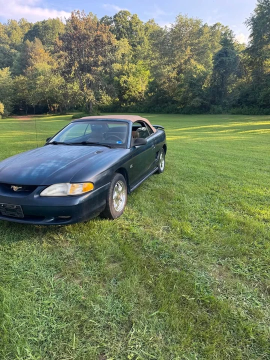1995 Ford SN95 Mustang - Image 2 of 8