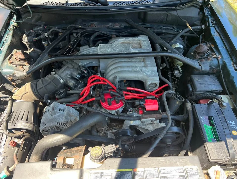 1995 Ford SN95 Mustang - Image 13 of 13