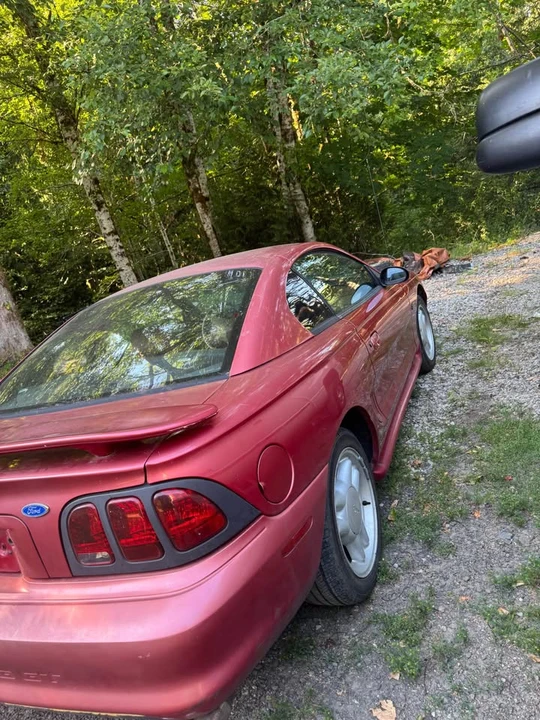 1995 Ford SN95 Mustang - Image 2 of 12