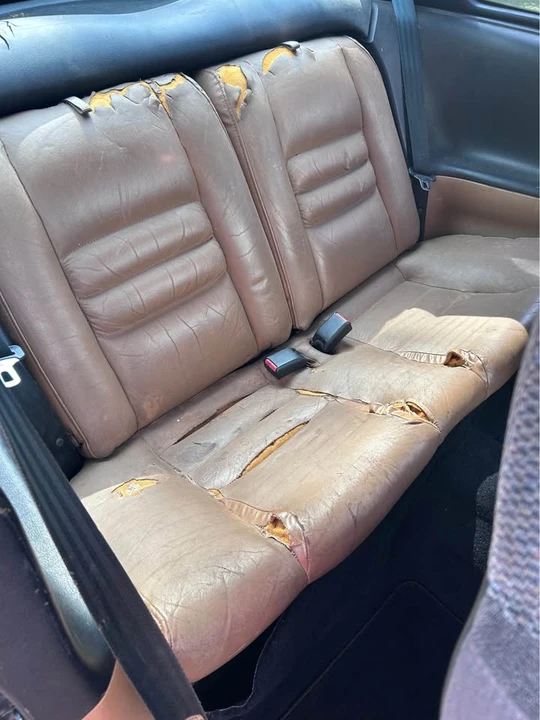 1995 Ford SN95 Mustang - Image 11 of 13