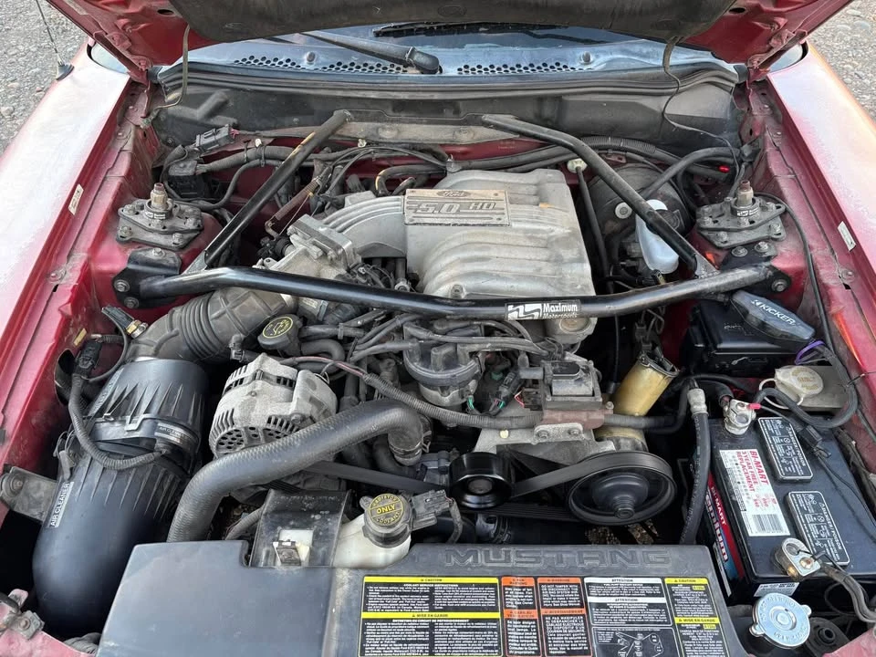 1995 Ford SN95 Mustang - Image 10 of 13