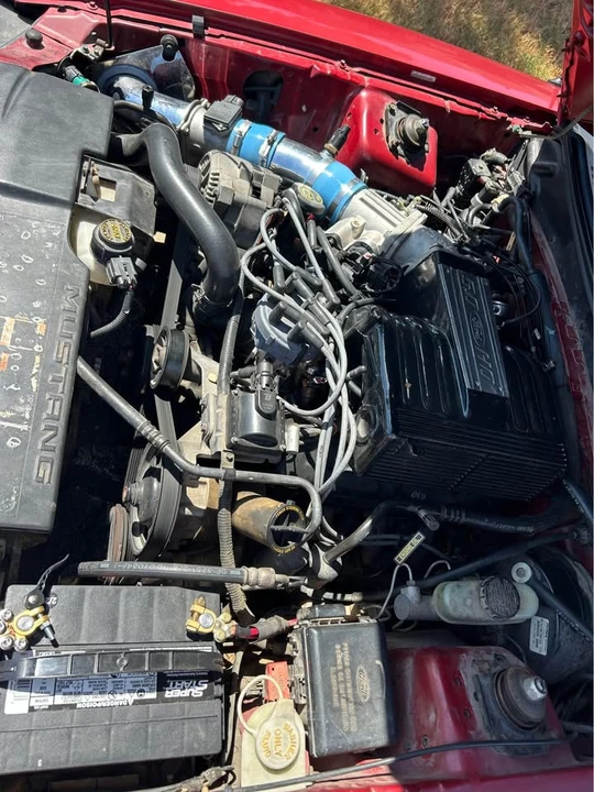 1995 Ford SN95 Mustang - Image 4 of 5