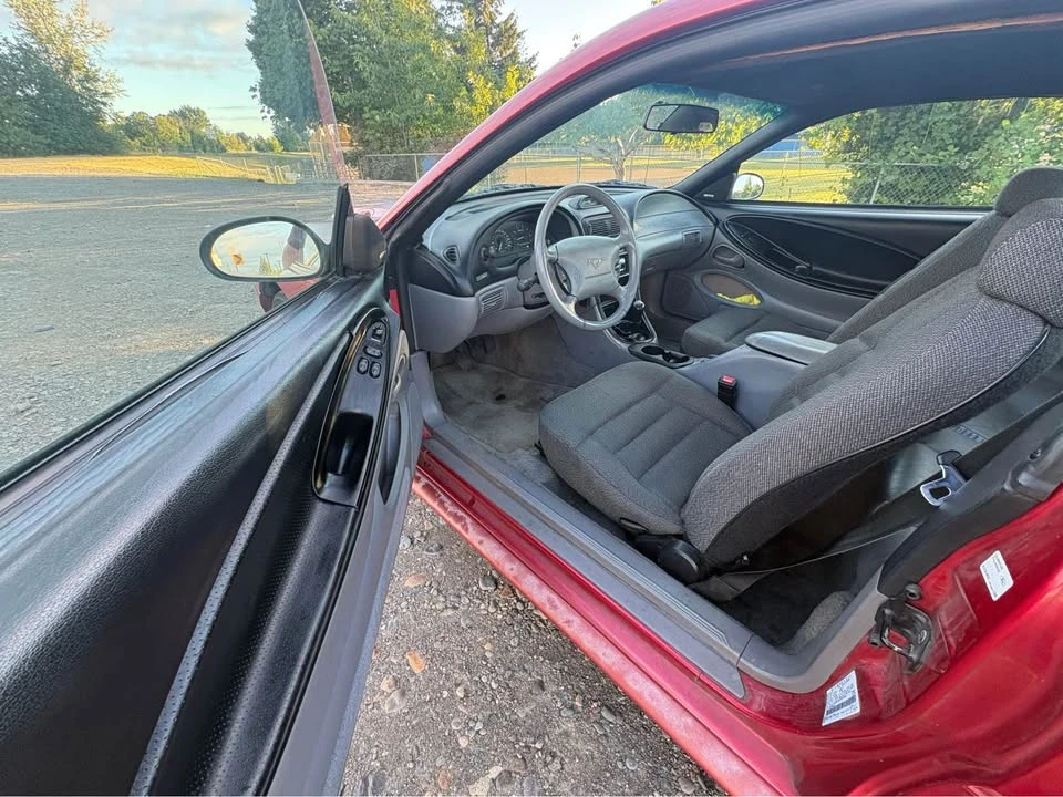 1995 Ford SN95 Mustang - Image 6 of 13