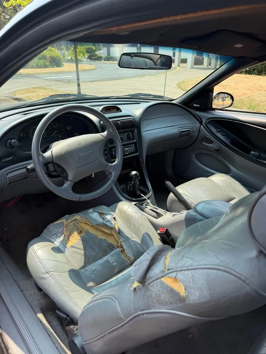 1995 Ford SN95 Mustang - Image 9 of 10