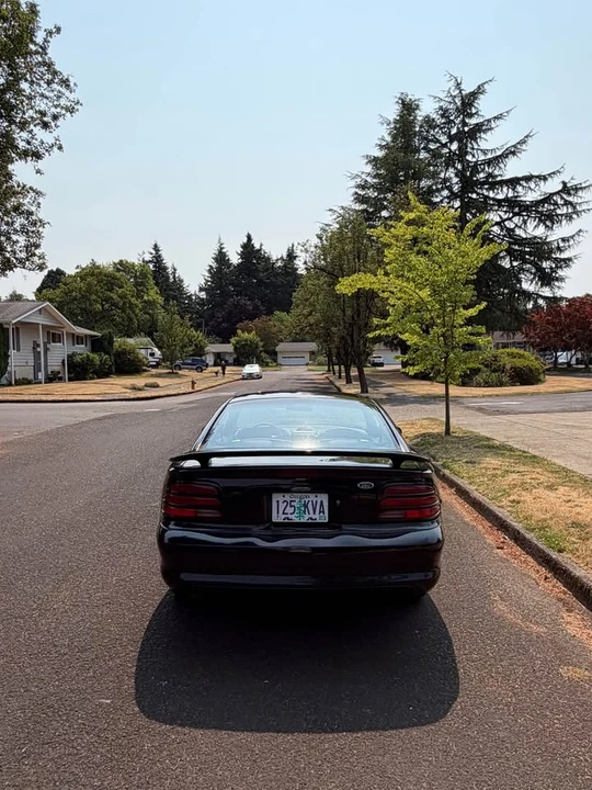 1995 Ford SN95 Mustang - Image 8 of 10