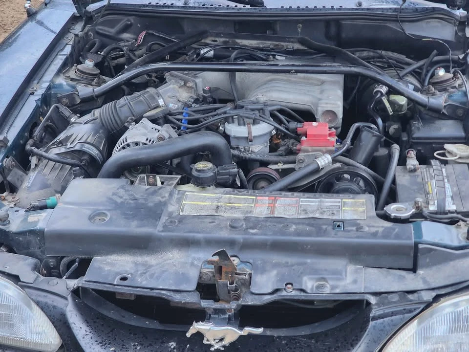 1995 Ford SN95 Mustang - Image 7 of 9