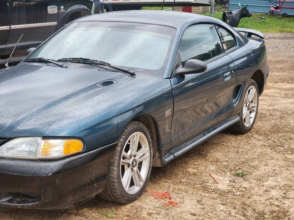 1995 Ford SN95 Mustang - Image 4 of 9