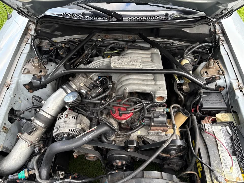 1995 Ford SN95 Mustang - Image 6 of 15