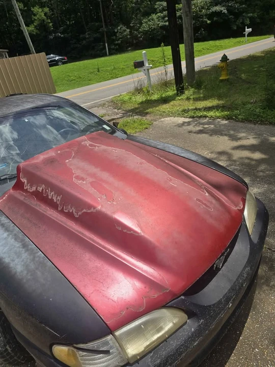 1995 Ford SN95 Mustang - Image 2 of 4