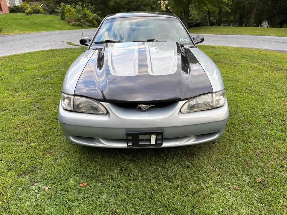 1995 Ford SN95 Mustang - Image 5 of 15
