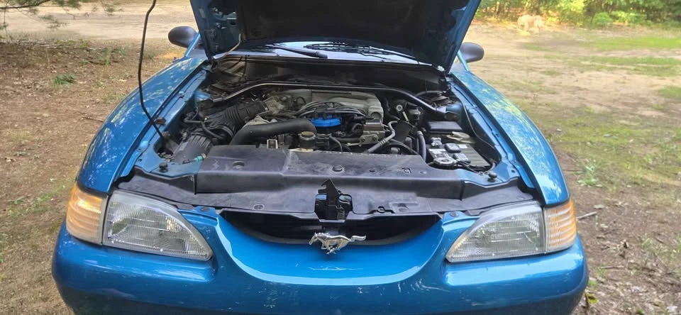 1995 Ford SN95 Mustang - Image 7 of 8