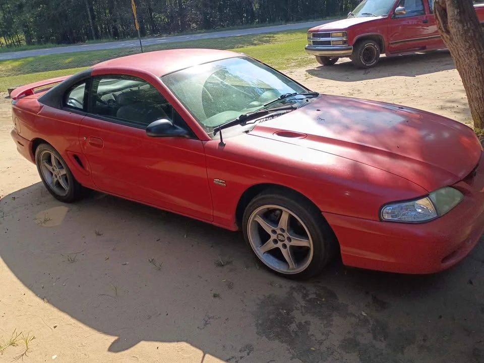 1995 Ford SN95 Mustang - Image 5 of 6