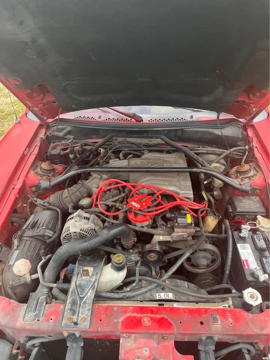 1995 Ford SN95 Mustang - Image 3 of 5