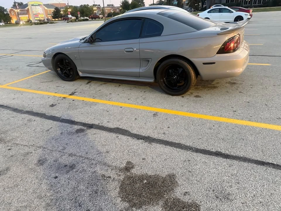 1995 Ford SN95 Mustang - Image 2 of 20
