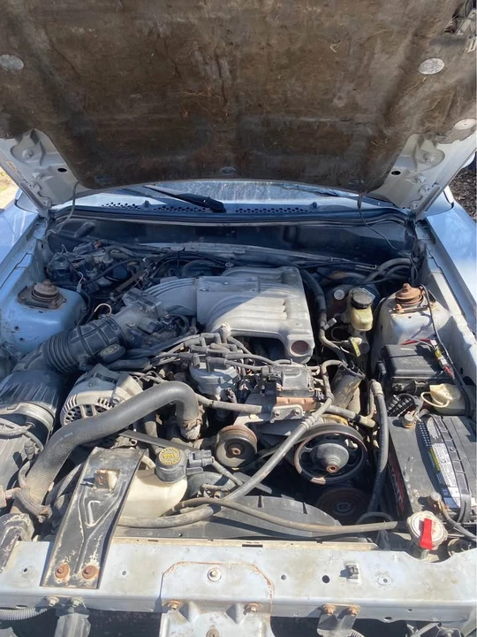 1995 Ford SN95 Mustang - Image 5 of 15