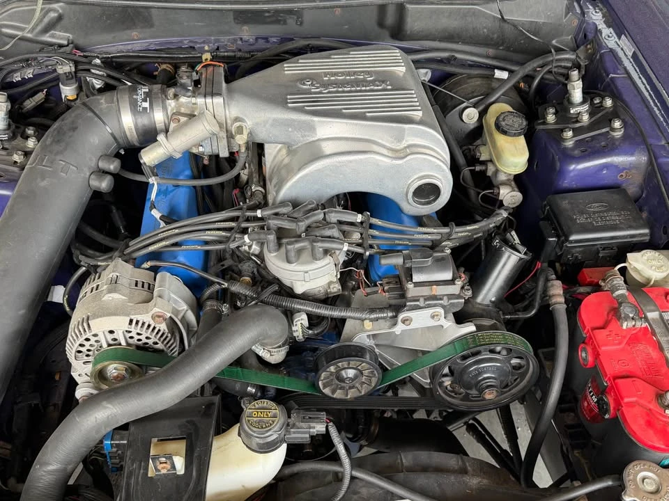 1995 Ford SN95 Mustang - Image 6 of 13