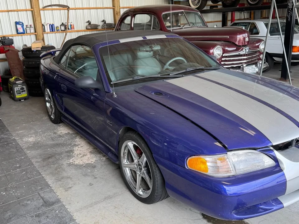 1995 Ford SN95 Mustang - Image 4 of 13