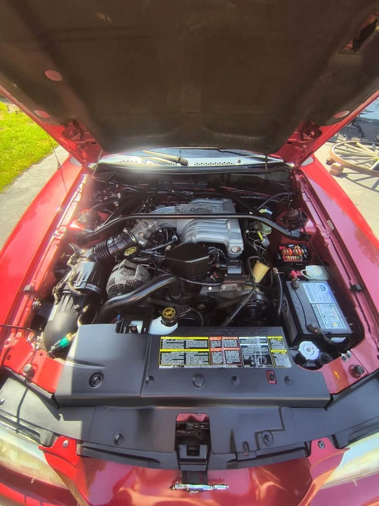 1995 Ford SN95 Mustang - Image 7 of 10