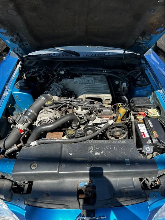 1995 Ford SN95 Mustang - Image 6 of 11