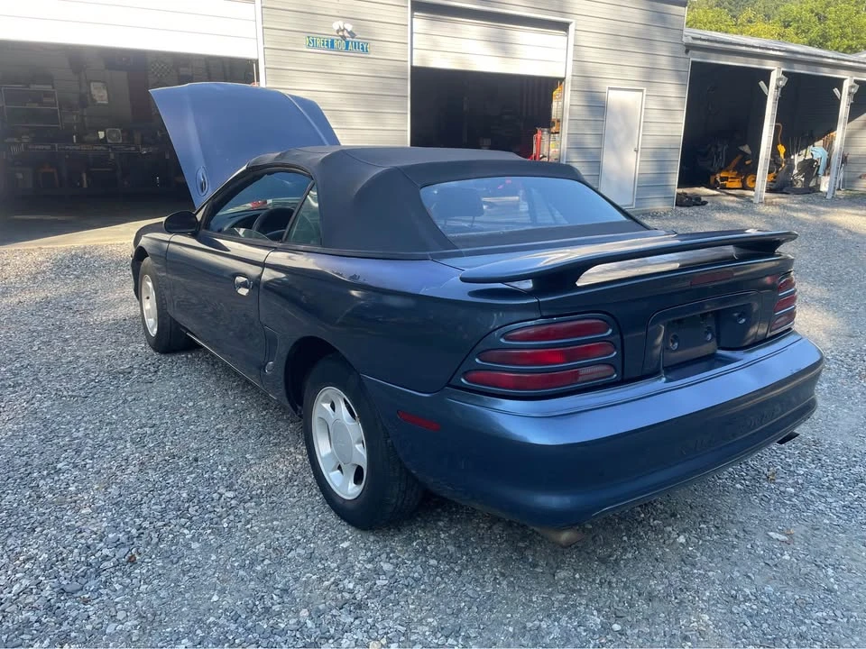1995 Ford SN95 Mustang - Image 3 of 8