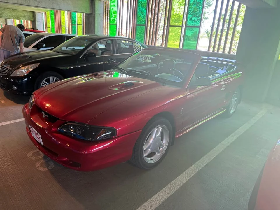 1995 Ford SN95 Mustang - Image 3 of 7