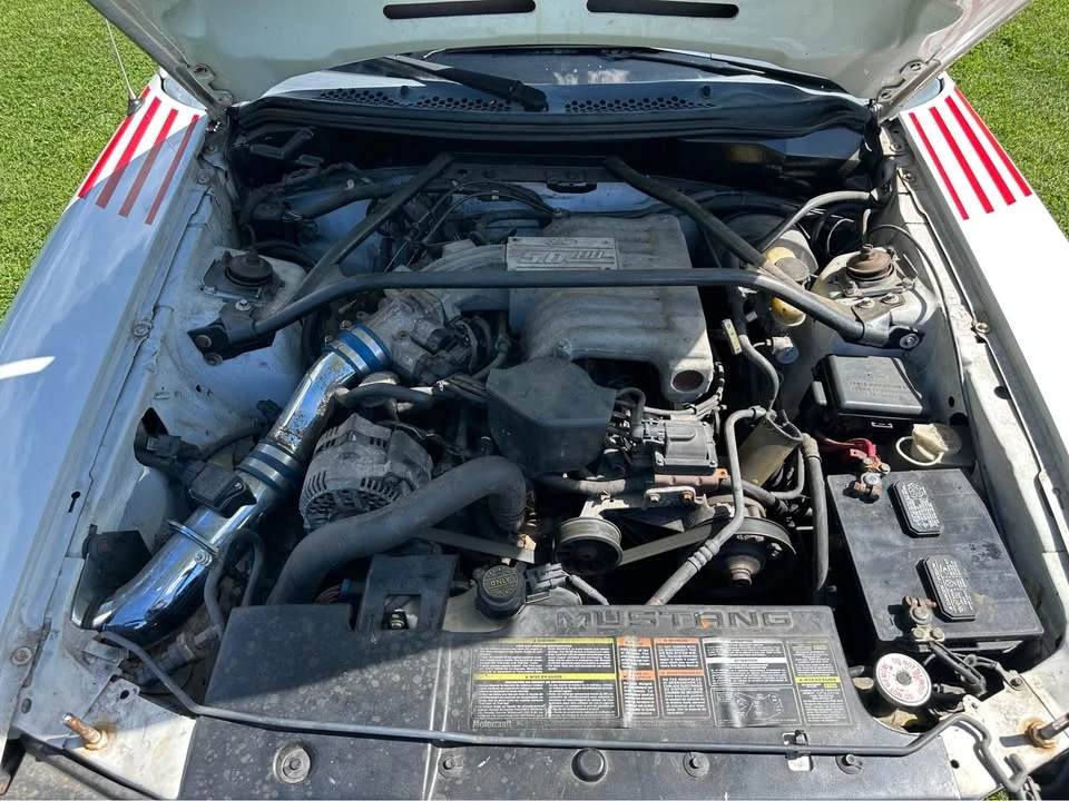 1995 Ford SN95 Mustang - Image 5 of 13