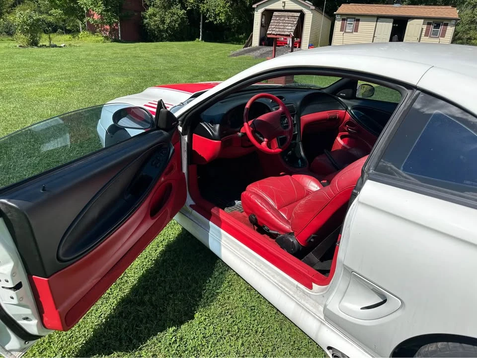 1995 Ford SN95 Mustang - Image 6 of 13