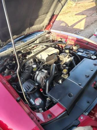 1995 Ford SN95 Mustang - Image 14 of 15