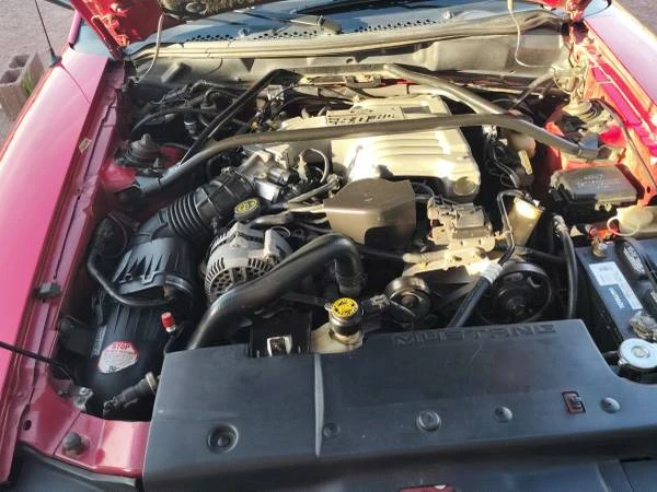 1995 Ford SN95 Mustang - Image 7 of 12