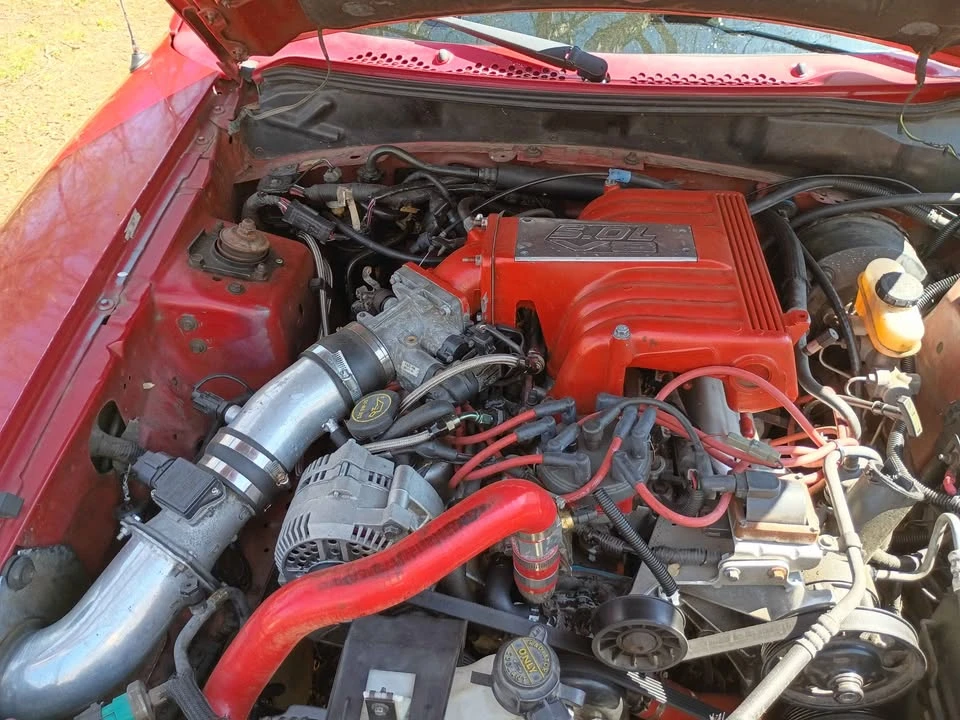 1995 Ford SN95 Mustang - Image 6 of 9