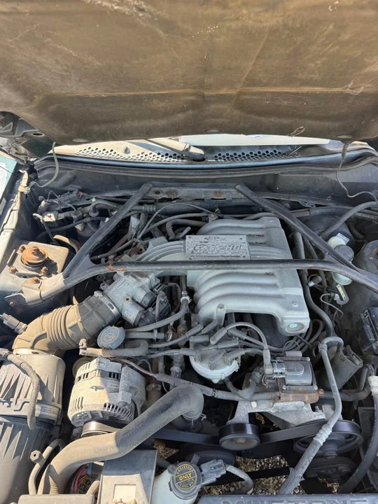 1995 Ford SN95 Mustang - Image 3 of 9