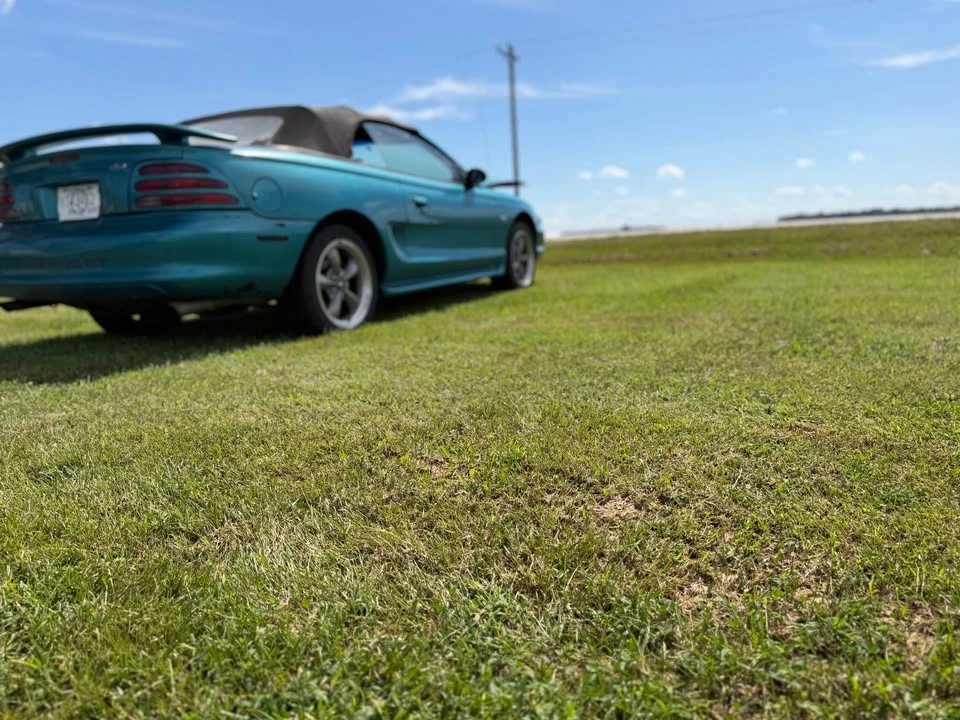 1995 Ford SN95 Mustang - Image 5 of 6