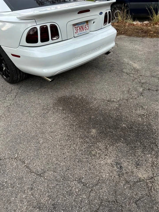 1995 Ford SN95 Mustang - Image 2 of 6