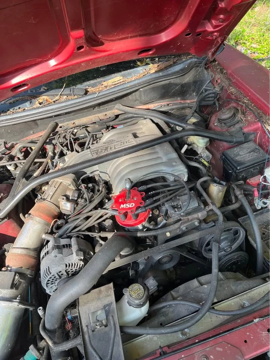 1995 Ford SN95 Mustang - Image 6 of 8