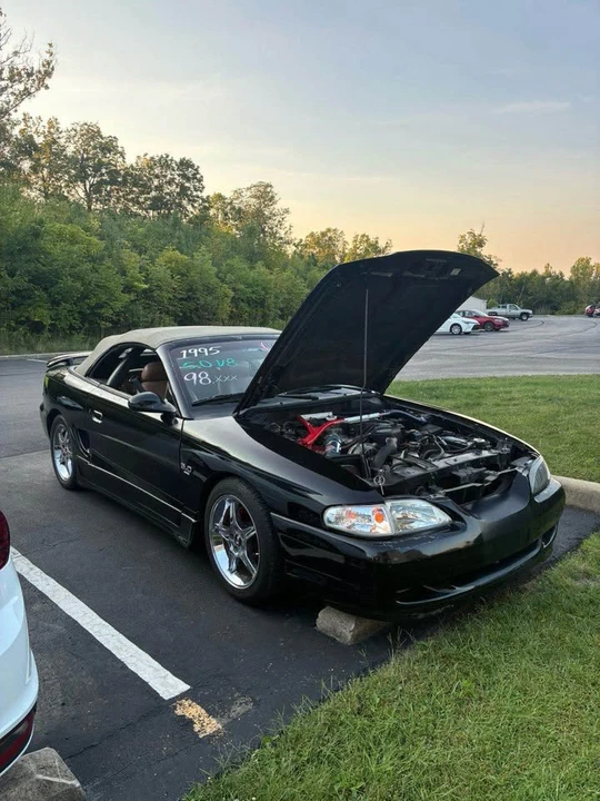 1995 Ford SN95 Mustang - Image 13 of 13