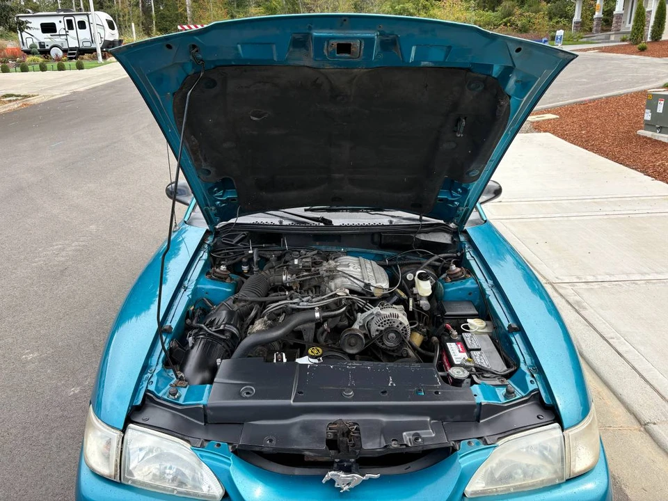 1995 Ford SN95 Mustang - Image 10 of 11