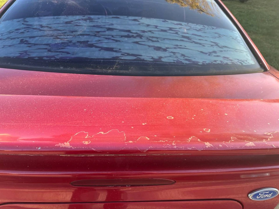 1995 Ford SN95 Mustang - Image 6 of 6