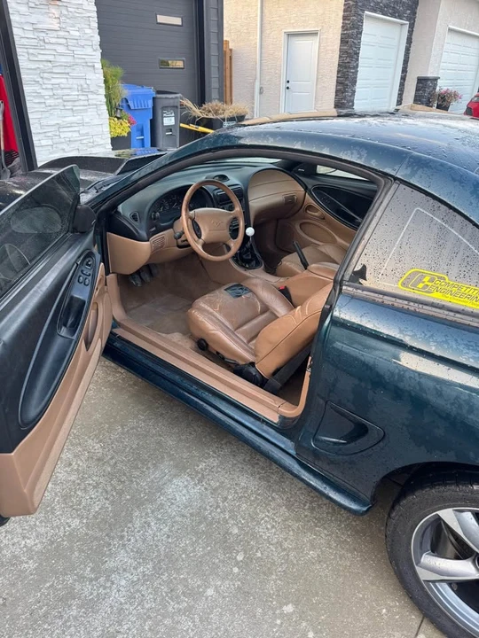 1995 Ford SN95 Mustang - Image 6 of 7