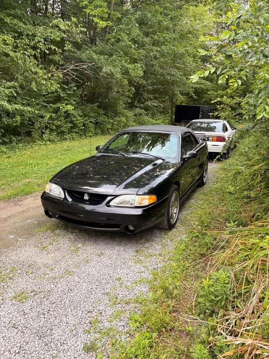 1995 Ford SN95 Mustang - Image 3 of 8