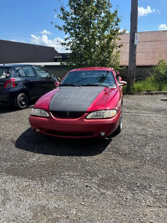 1995 Ford SN95 Mustang - Image 5 of 5