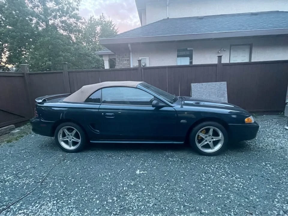 1995 Ford SN95 Mustang - Image 16 of 16