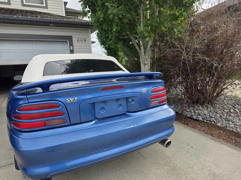 1995 Ford SN95 Mustang - Image 5 of 7