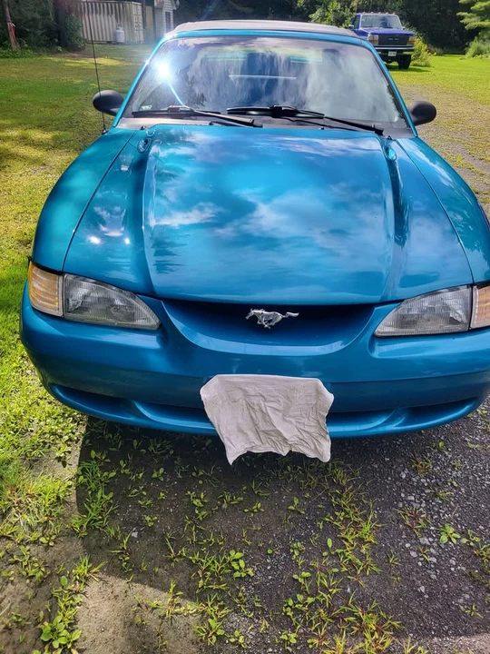 1995 Ford SN95 Mustang - Image 3 of 14