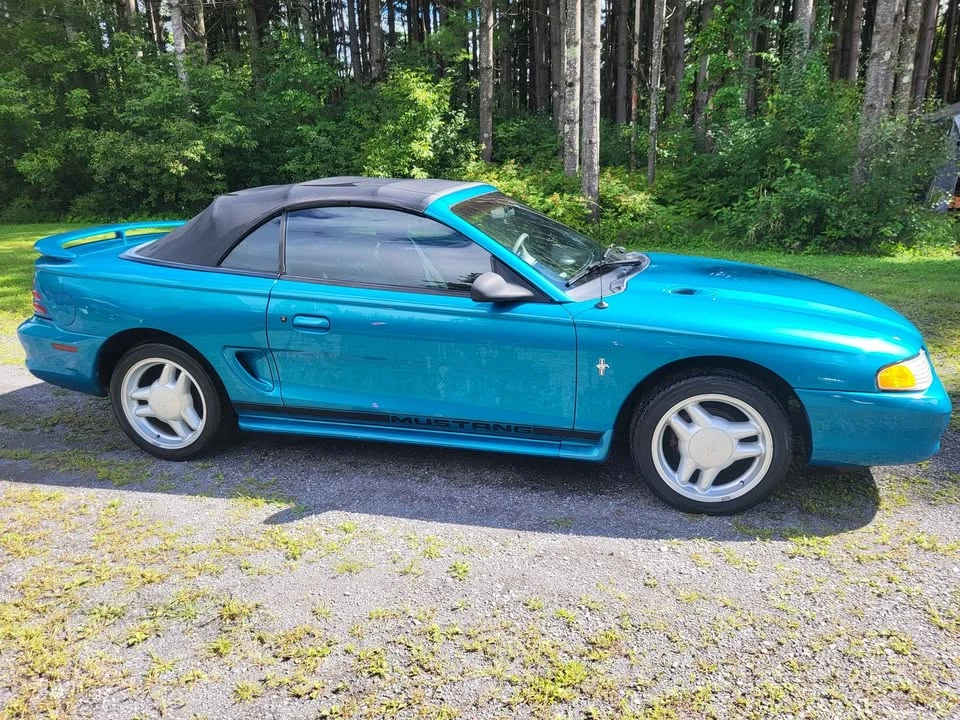 1995 Ford SN95 Mustang - Image 5 of 14