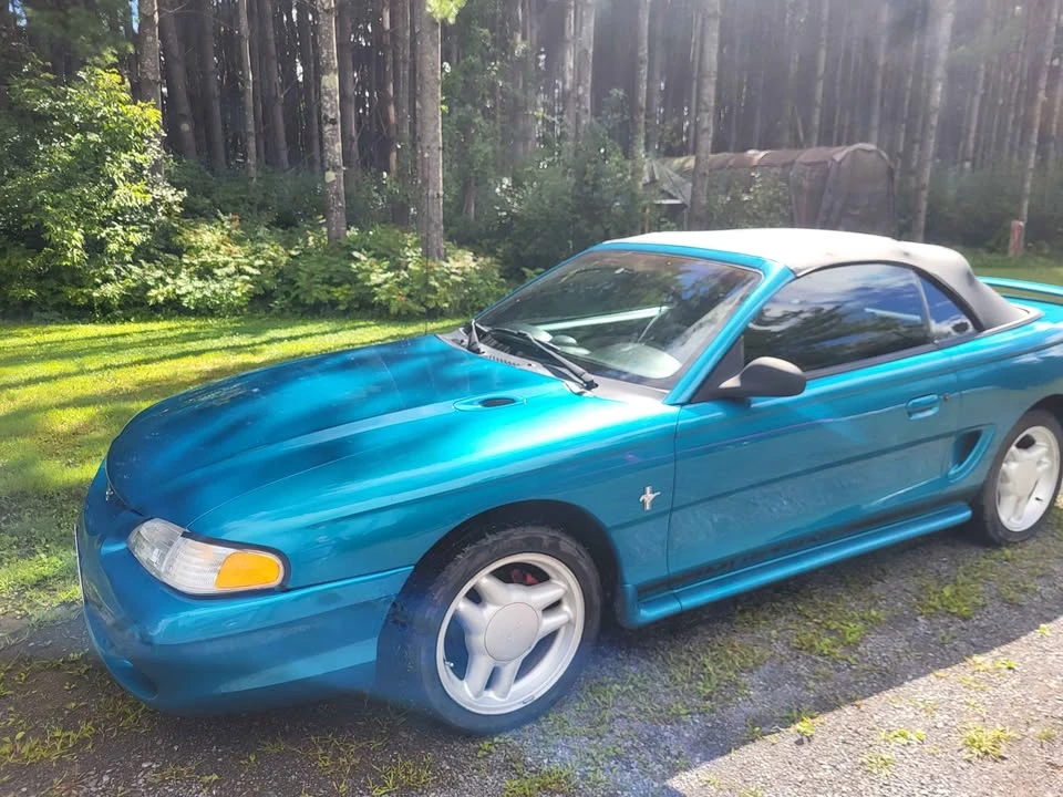 1995 Ford SN95 Mustang - Image 2 of 14