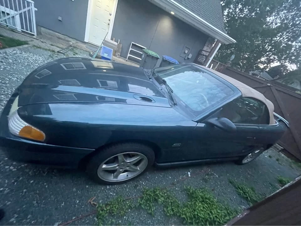 1995 Ford SN95 Mustang - Image 13 of 16
