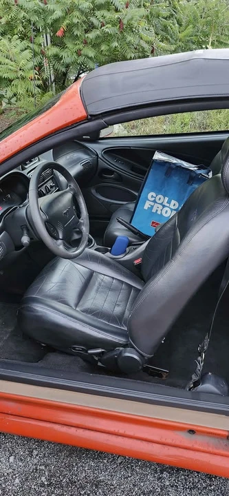 1995 Ford SN95 Mustang - Image 3 of 6