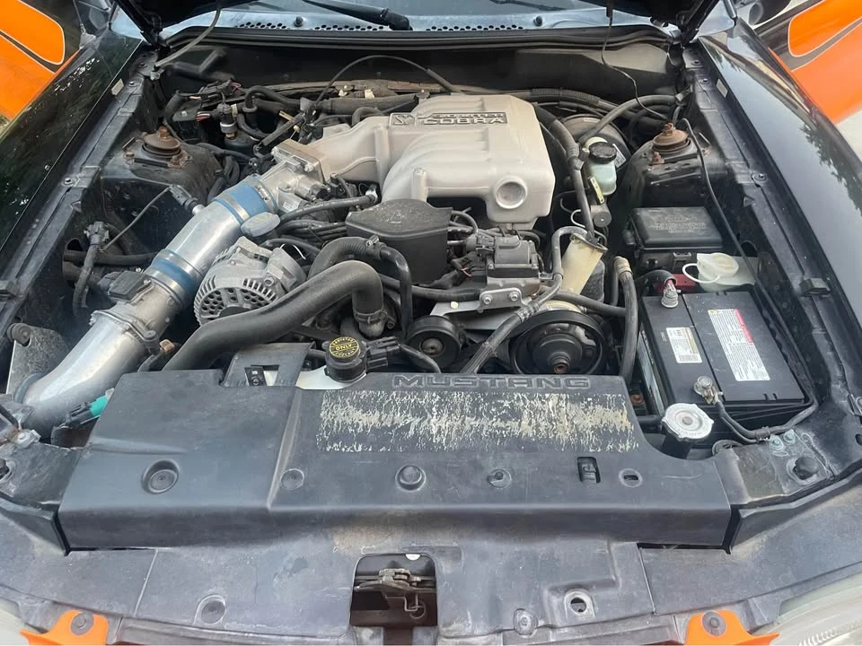 1995 Ford SN95 Mustang - Image 12 of 12