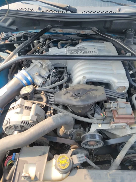 1995 Ford SN95 Mustang - Image 4 of 5